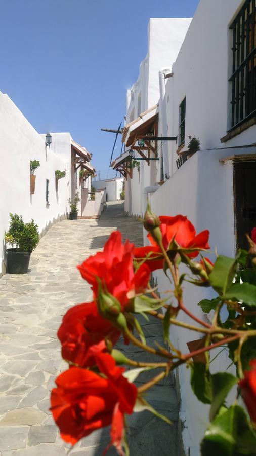 Villa Casas El Molino Vejer de la Frontera Exterior foto